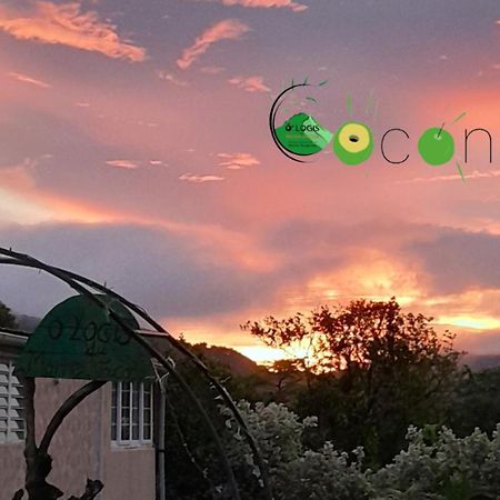 Апартаменти O Logis Du Morne Jacob "Coco", Le Morne-Rouge Martinique Екстер'єр фото